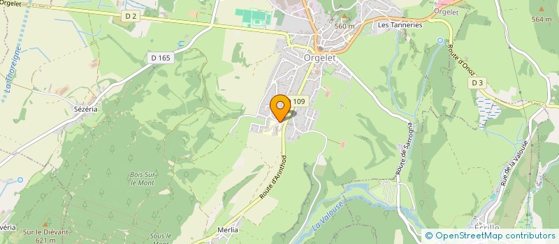 localisation de l'entreprise CENTRE HOSPITALIER PIERRE FUTIN  ORGELET