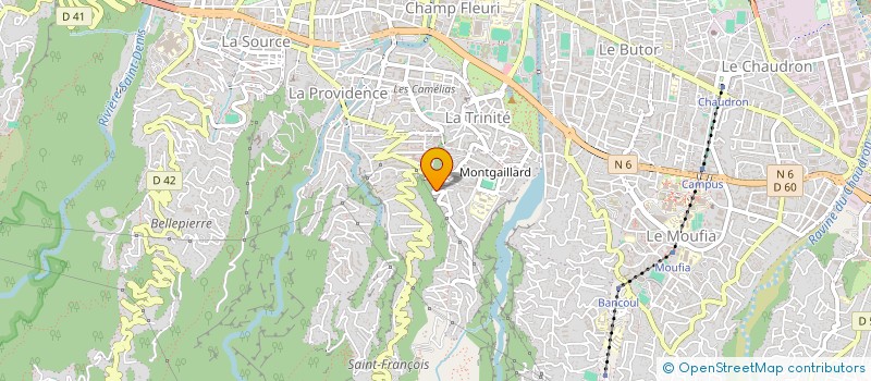localisation de l'entreprise CENTRE MEDICAL DE MONTGAILLARD à SAINT-DENIS