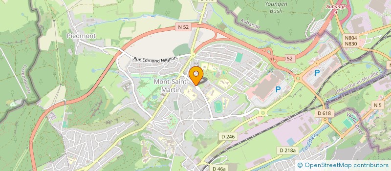 localisation de l'entreprise CENTRE ORL CONDRUZ RAZVAN  COSNES-ET-ROMAIN