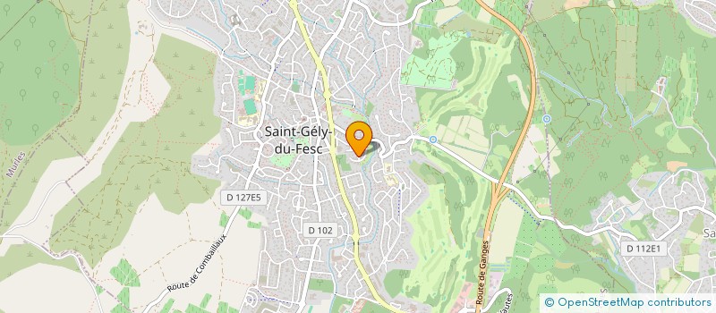 localisation de l'entreprise CENTRE RECHERCHE ETUDES SECURITE INFORMATION CYBERCRIMINALITE  SAINT-GELY-DU-FESC