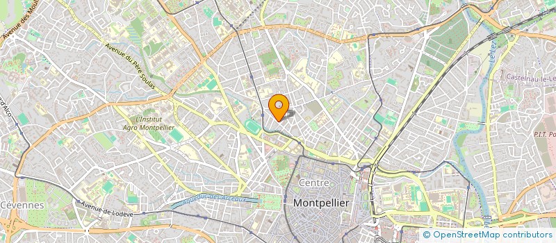 localisation de l'entreprise CERCLE ASSOCIATIF RASSEMBLANT LE RESEAU DES ETUDIANTS DU MAGISTERE DROIT PUBLIC DES AFFAIRES CARRE MDPA à MONTPELLIER