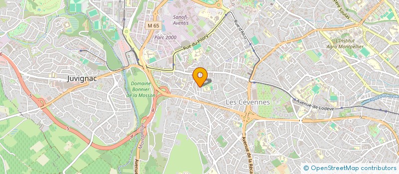 localisation de l'entreprise CERCLE D'AIKIDO MONTPELLIERAIN à MONTPELLIER