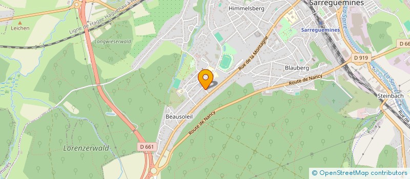 localisation de l'entreprise CERCLE D ESCRIME DE SARREGUEMINE  SARREGUEMINES