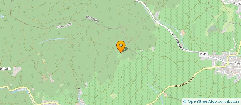localisation de l'entreprise CERCLE DE RECHERCHE HISTORIQUE DE RIBEAUVILLE ET ENVIRONS  RIBEAUVILLE