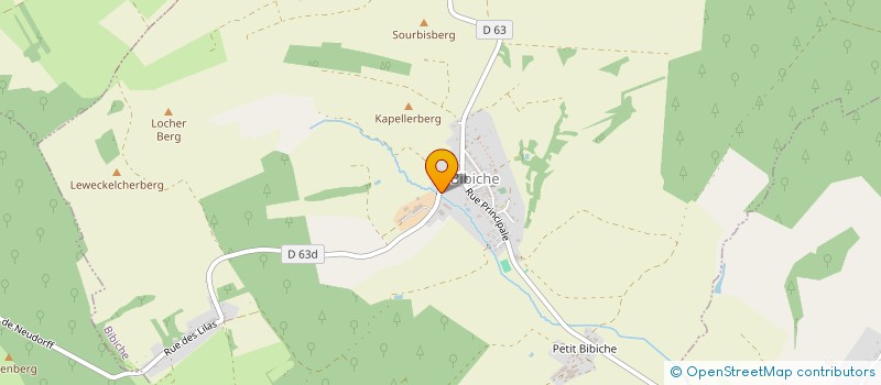 localisation de l'entreprise CERCLE DES NAGEURS DE BOUZONVILLE  BOUZONVILLE