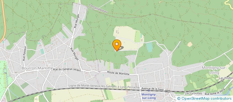 localisation de l'entreprise CERCLE HIPPIQUE DE MONTIGNY à MONTIGNY-SUR-LOING