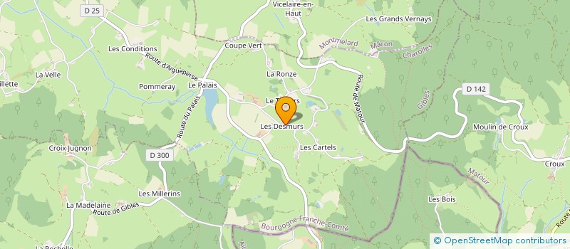 localisation de l'entreprise CERCLE HUMANISTE DE MACON  GIBLES