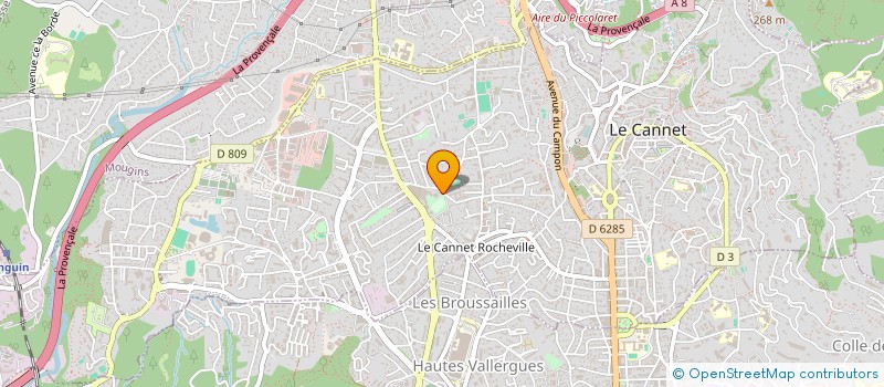 localisation de l'entreprise CERCLE NATIONAL BOULE ROCHEVIL à LE CANNET