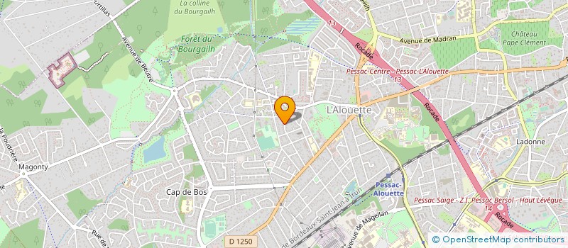 localisation de l'entreprise CERCLE OCCITAN PRINCI NEGRE à PESSAC