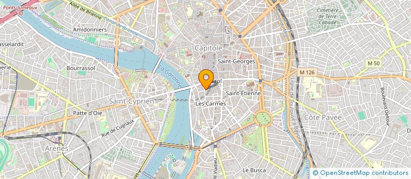 localisation de l'entreprise CERISE SUR LA YOURTE à TOULOUSE