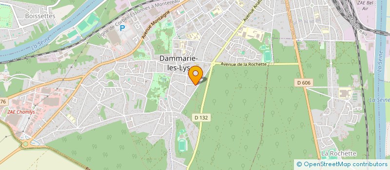 localisation de l'entreprise CESSON VERT ST DENIS HAND BALL à DAMMARIE-LES-LYS
