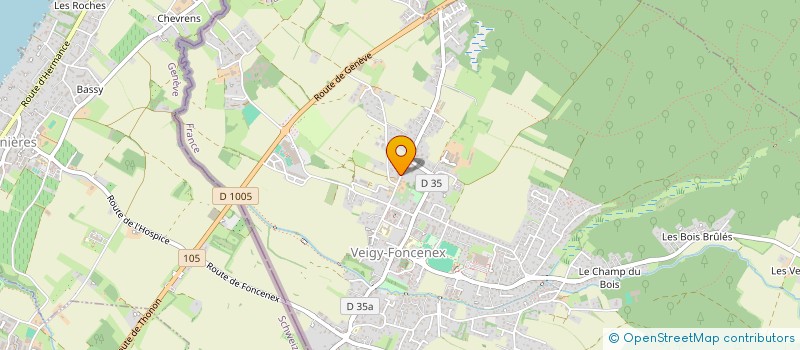 localisation de l'entreprise CEVA IMMO  VEIGY-FONCENEX