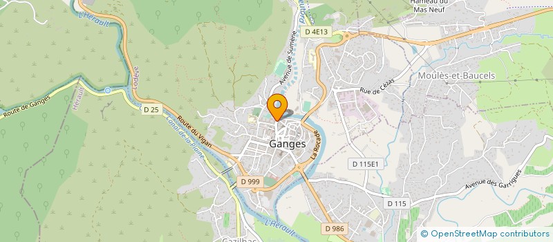 localisation de l'entreprise CEVENNES VIDOURLE SONORISATION à GANGES