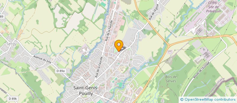 localisation de l'entreprise CF INTERNATIONALE  SAINT-GENIS-POUILLY