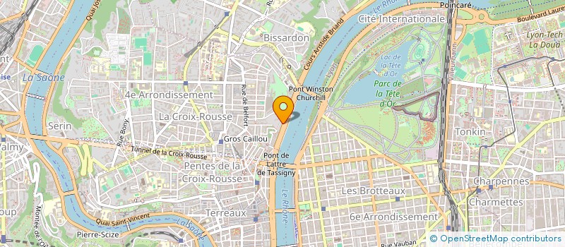 localisation de l'entreprise CF SERVICE PARTICULIER  LYON