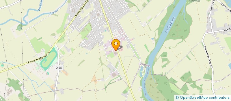 localisation de l'entreprise CF31 INVEST  GRENADE