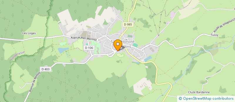 localisation de l'entreprise CFIPF WORK YOUR WAY TO FRANCE à SAINT-HONORE-LES-BAINS