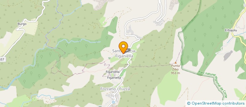 localisation de l'entreprise CFL EDITIONS  SANTA-MARIA-FIGANIELLA