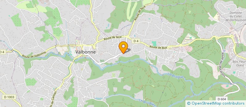 localisation de l'entreprise CFT DISTRIBUTION à VALBONNE
