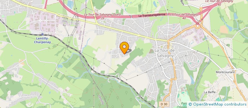 localisation de l'entreprise CGO CONSEIL  LA TOUR-DE-SALVAGNY