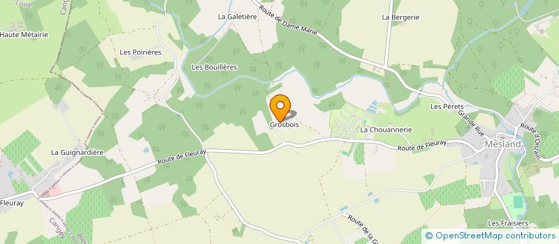 localisation de l'entreprise CGO VAL DE CISSE  MESLAND