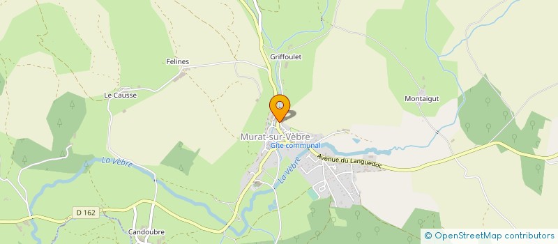 localisation de l'entreprise CHABBERT TRAVAUX FORESTIERS  MURAT-SUR-VEBRE