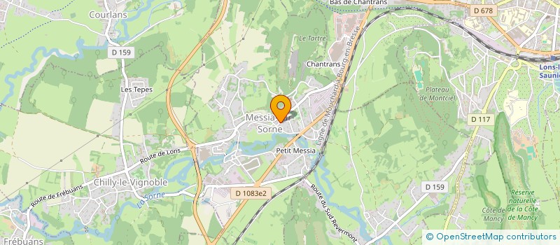 localisation de l'entreprise CHAGNEUX IMMOBILIER  MESSIA-SUR-SORNE