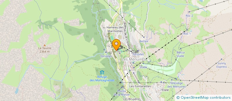 localisation de l'entreprise CHALET DU PLEIN SUD  LES BELLEVILLE