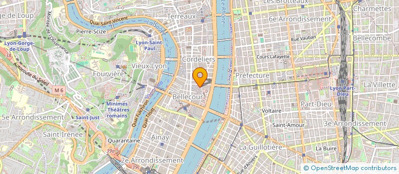 localisation de l'entreprise CHAMBRE SYNDICALE AGENTS IMMOBILIER à LYON