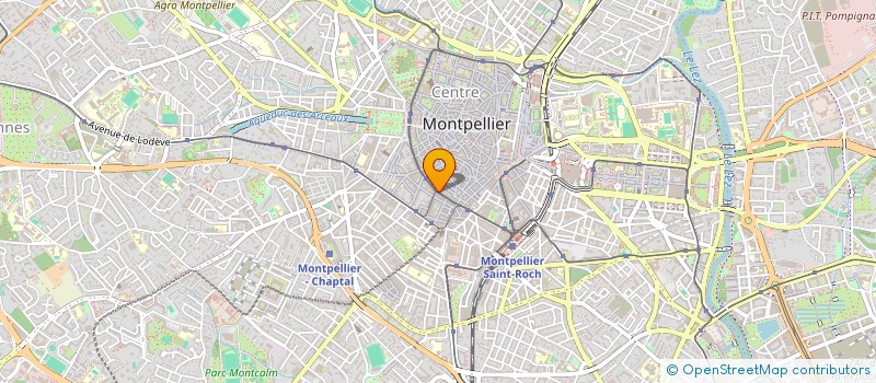 localisation de l'entreprise CHAMBRE SYNDICALE PROPRIETAIRE COPROPRIETAIRE HERAULT à MONTPELLIER