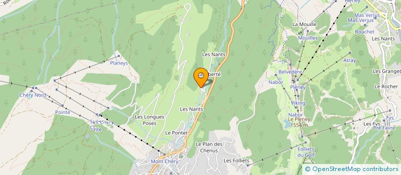 localisation de l'entreprise CHAMP DES CROCUS  LES GETS