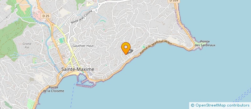 localisation de l'entreprise CHAMP FLEURI à SAINTE-MAXIME