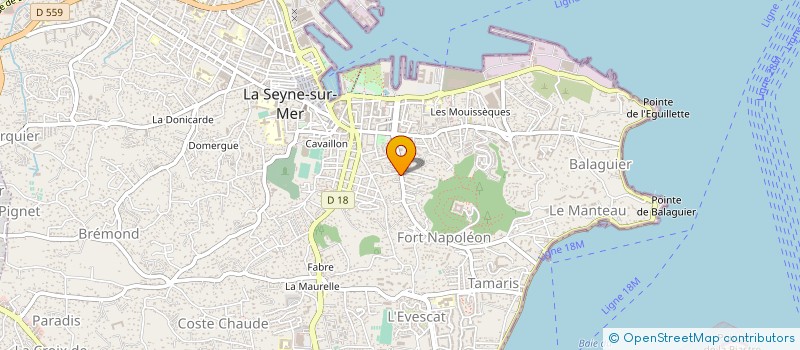 localisation de l'entreprise CHAMPAGNE NICOLAS SASU à LA SEYNE-SUR-MER