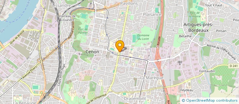 localisation de l'entreprise CHAMPICO-FLORES à CENON