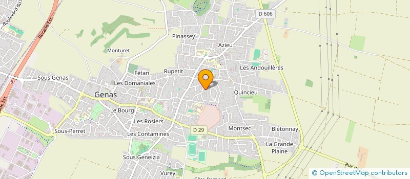 localisation de l'entreprise CHAMPION CLAUDE ET RICCI ERICK  GENAS