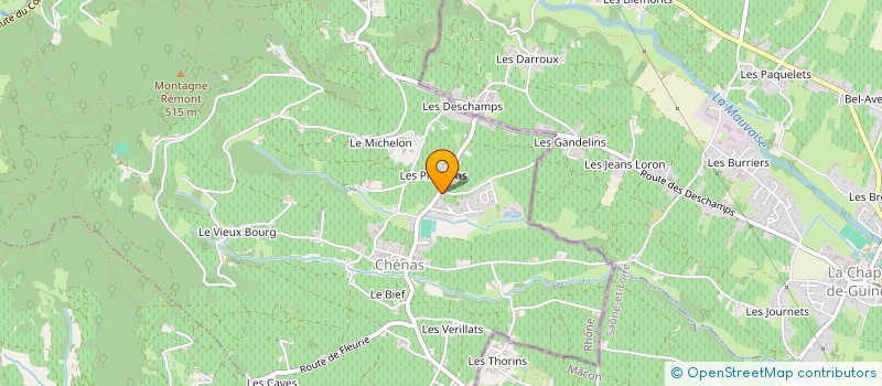 localisation de l'entreprise CHANEL.S 68  CHENAS