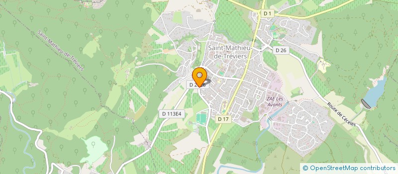 localisation de l'entreprise CHANSO  SAINT-MATHIEU-DE-TREVIERS