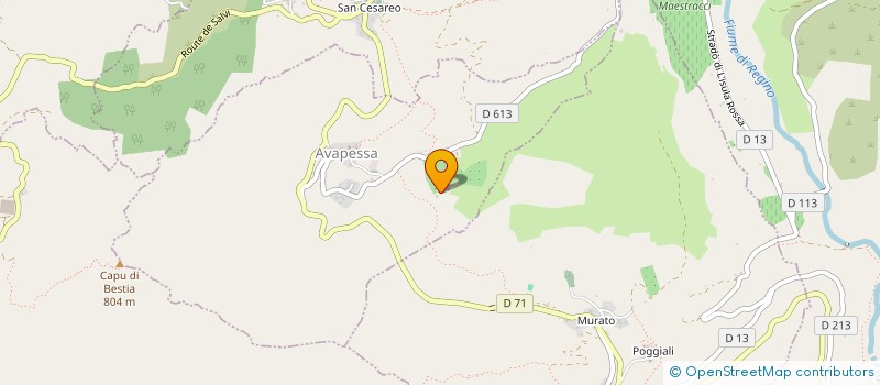 localisation de l'entreprise CHARCUTERIE DU GROS CHENE à AVAPESSA