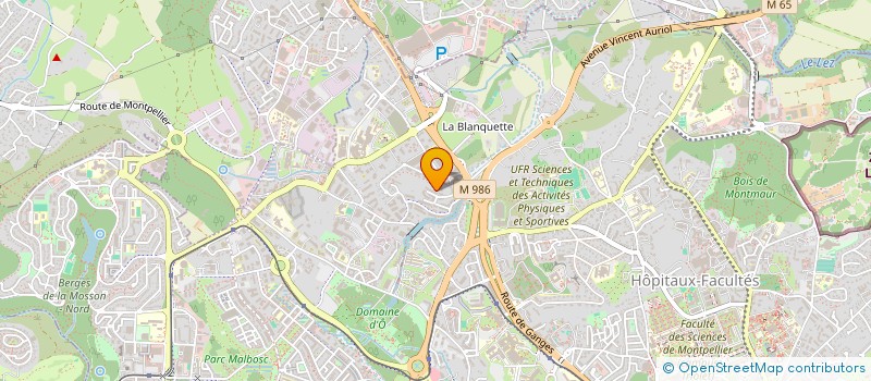 localisation de l'entreprise CHARIKA BAMOUS à MONTPELLIER