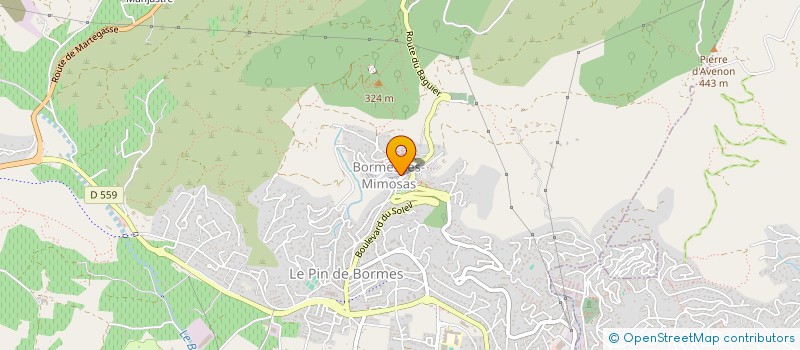 localisation de l'entreprise CHARLIE à BORMES-LES-MIMOSAS