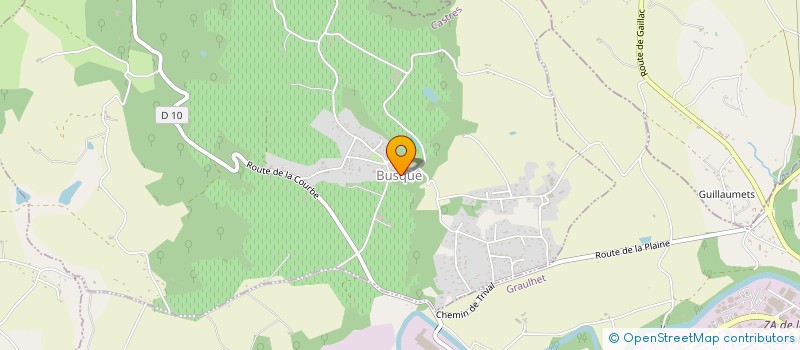 localisation de l'entreprise CHARLIE'S  BUSQUE