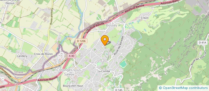 localisation de l'entreprise CHARPARK IMMO  BOSSEY