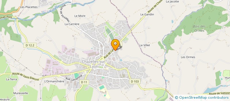 localisation de l'entreprise CHARRETIER FRERES SARL à CHAZELLES-SUR-LYON