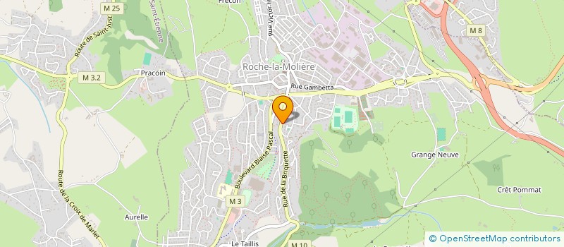 localisation de l'entreprise CHASSE DES MINEURS ROCHE LA MOLIERE FIRMINY  ROCHE-LA-MOLIERE