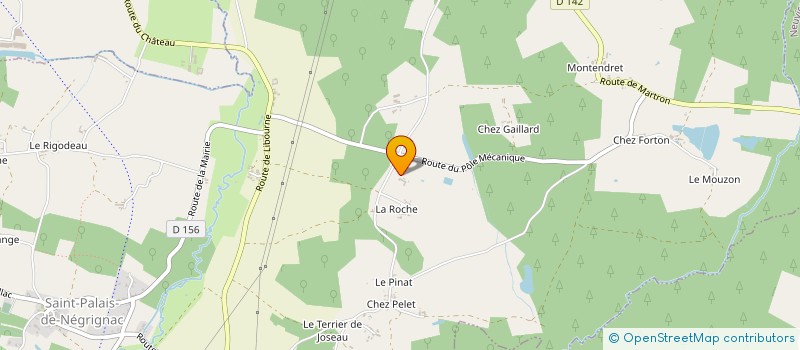 localisation de l'entreprise CHASSE LE BIEN ALLER à SAINT-PALAIS-DE-NEGRIGNAC