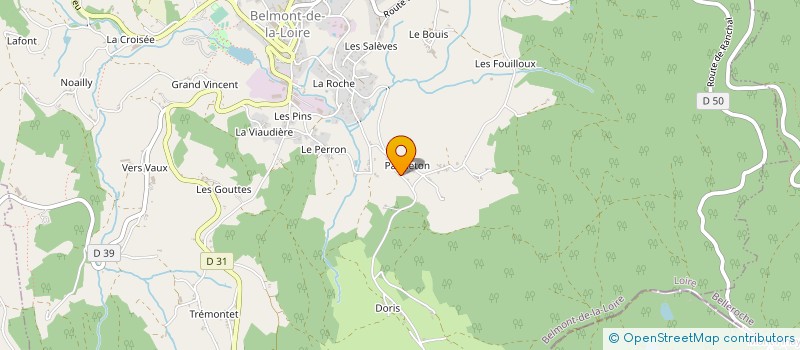 localisation de l'entreprise CHASSIGNOL BOIS ET PARQUETS à BELMONT-DE-LA-LOIRE