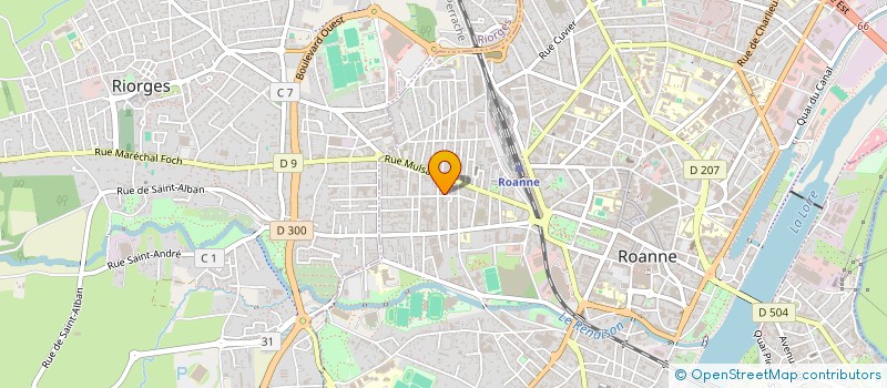 localisation de l'entreprise CHASSIGNOL SERVICE à ROANNE