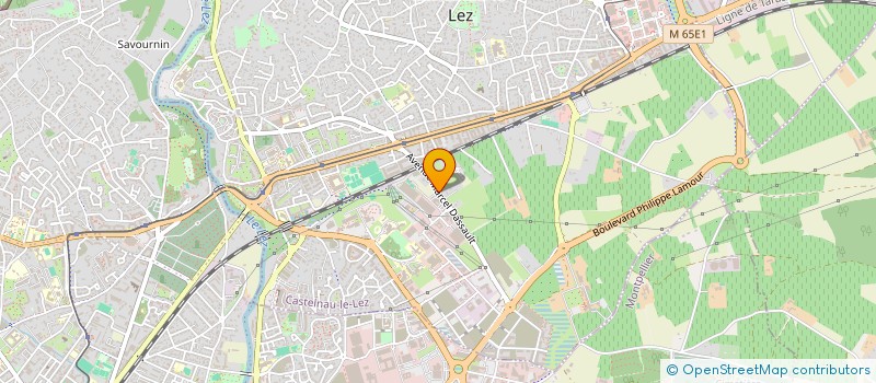 localisation de l'entreprise CHAT PERCHE à CASTELNAU-LE-LEZ