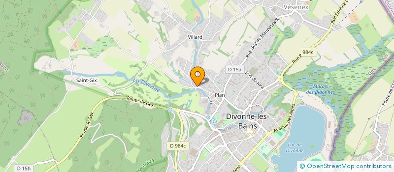 localisation de l'entreprise CHAT SANS TOIT 01 à DIVONNE-LES-BAINS