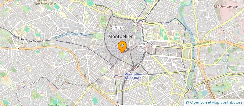 localisation de l'entreprise CHATEAU DOG  MONTPELLIER